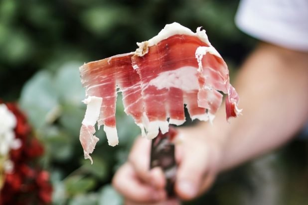 Bacon